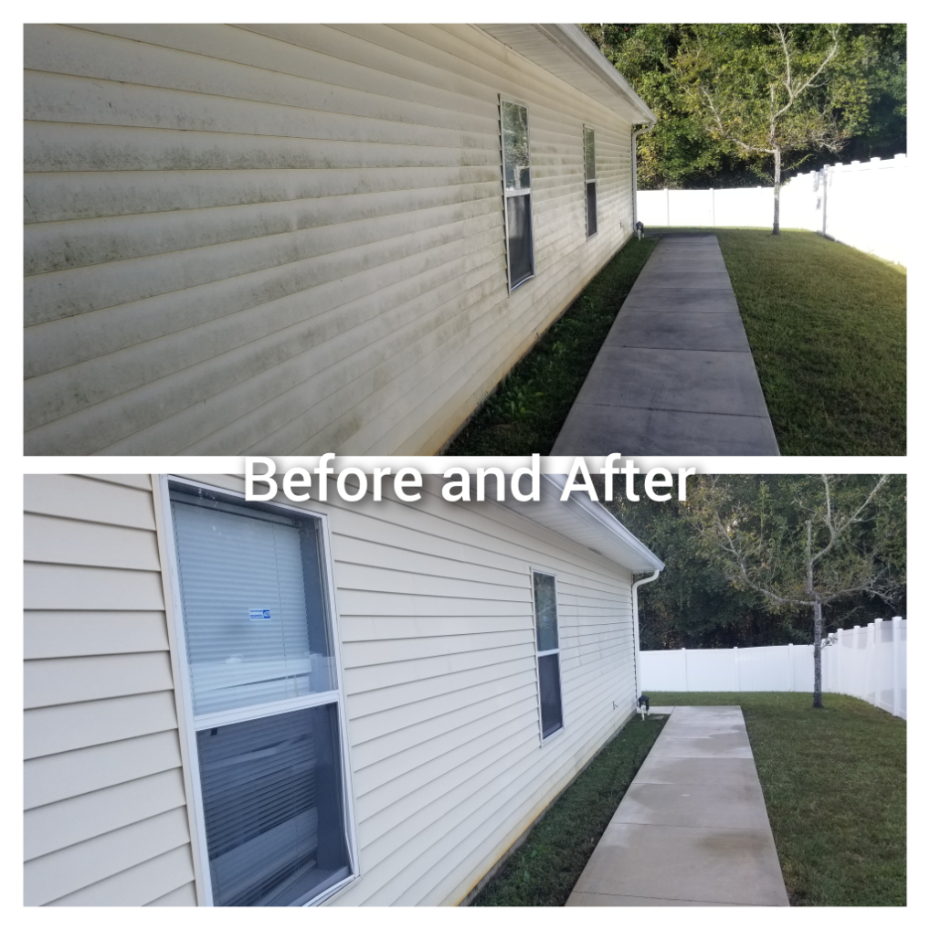 House and concrete cleaning